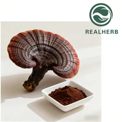 Ekstrakt Ganoderma lucidum